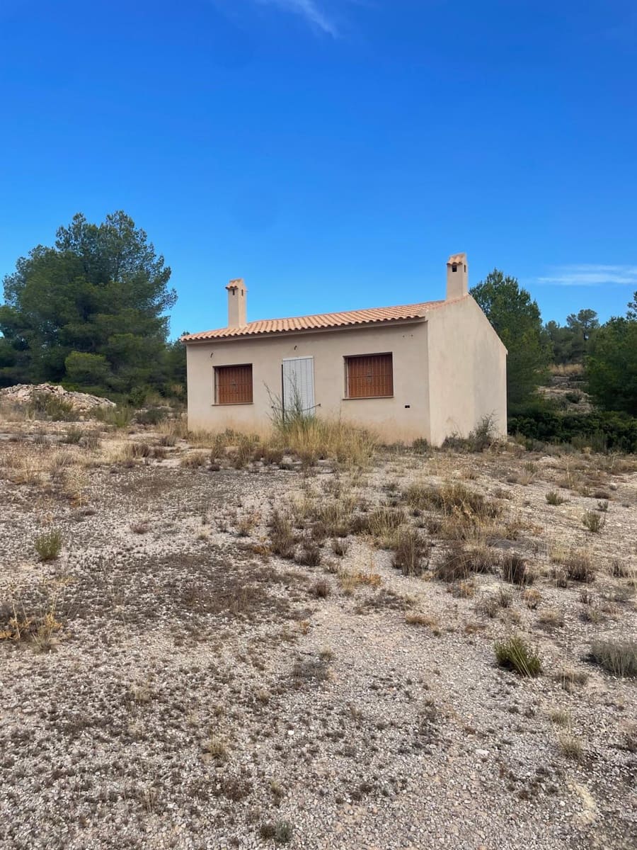 Grunde uden byggetilladelser til salg i Pinoso - € 145.000 (Ref: 10133737)