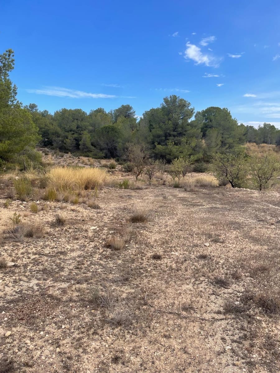 Grunde uden byggetilladelser til salg i Pinoso - € 145.000 (Ref: 10133737)
