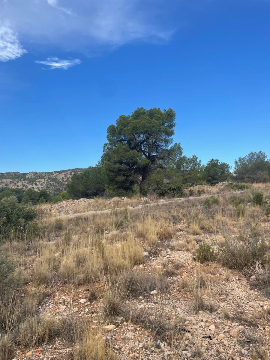 Grunde uden byggetilladelser til salg i Pinoso - € 145.000 (Ref: 10133737)