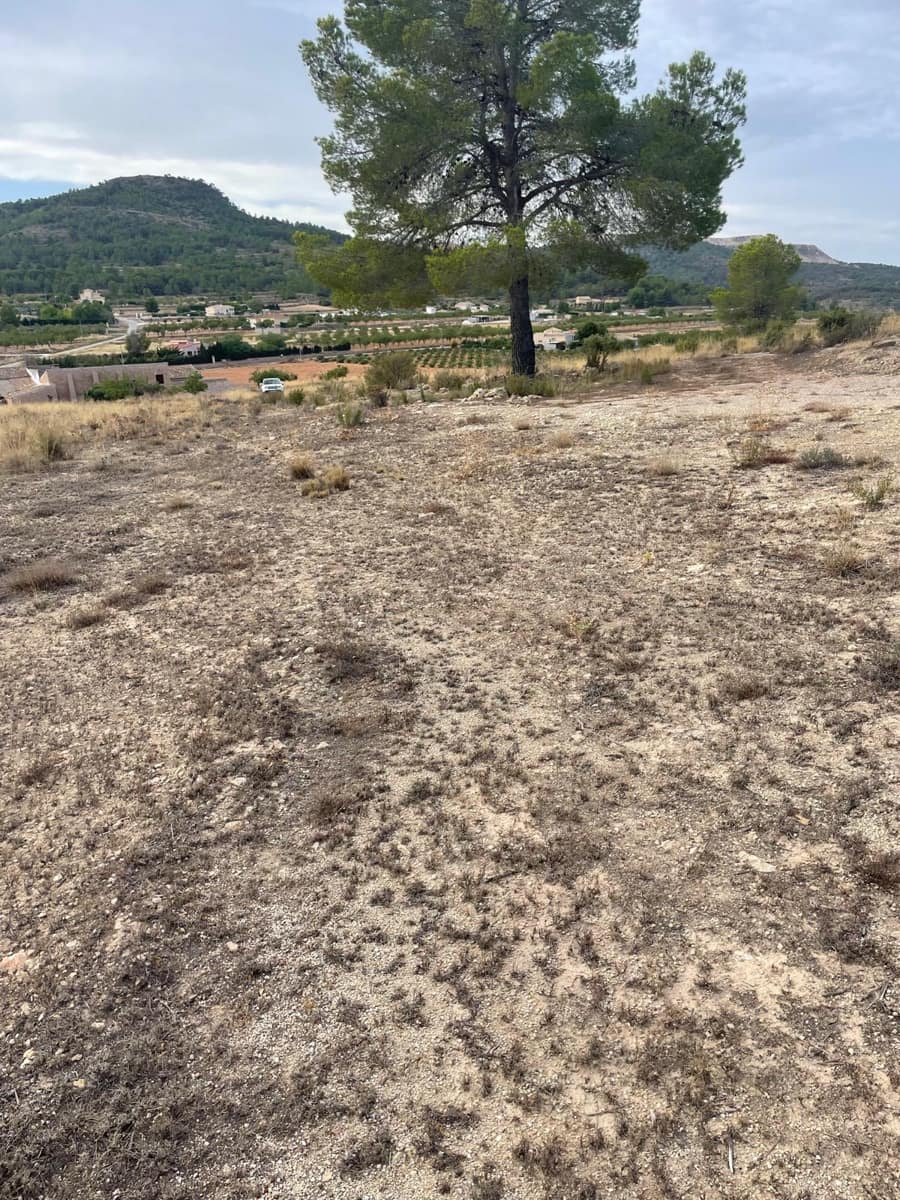 Grunde uden byggetilladelser til salg i Pinoso - € 145.000 (Ref: 10133737)