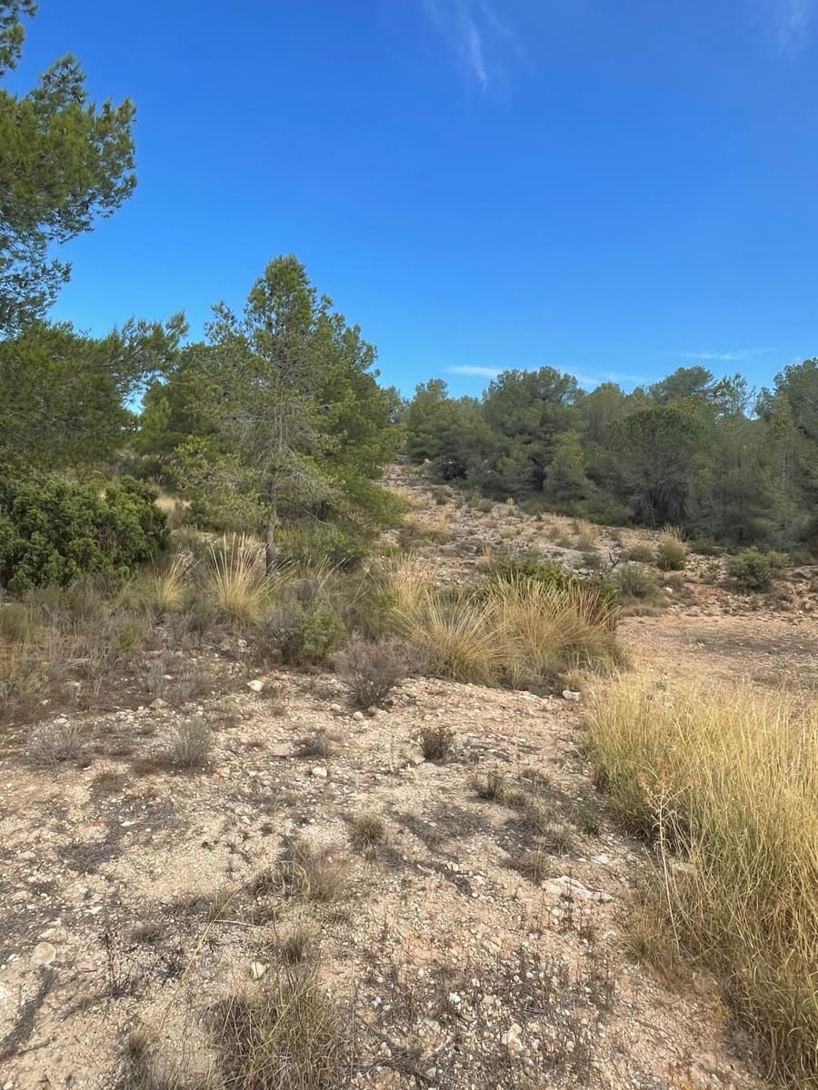 Grunde uden byggetilladelser til salg i Pinoso - € 145.000 (Ref: 10133737)