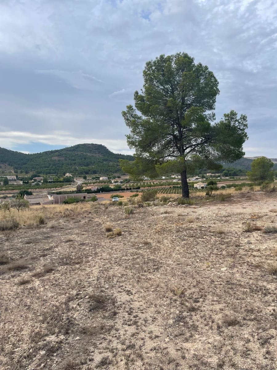 Grunde uden byggetilladelser til salg i Pinoso - € 145.000 (Ref: 10133737)