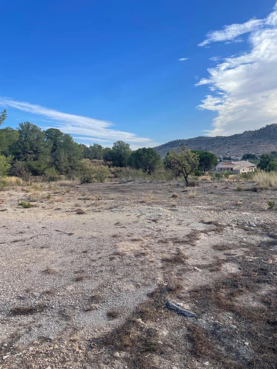 Grunde uden byggetilladelser til salg i Pinoso - € 145.000 (Ref: 10133737)