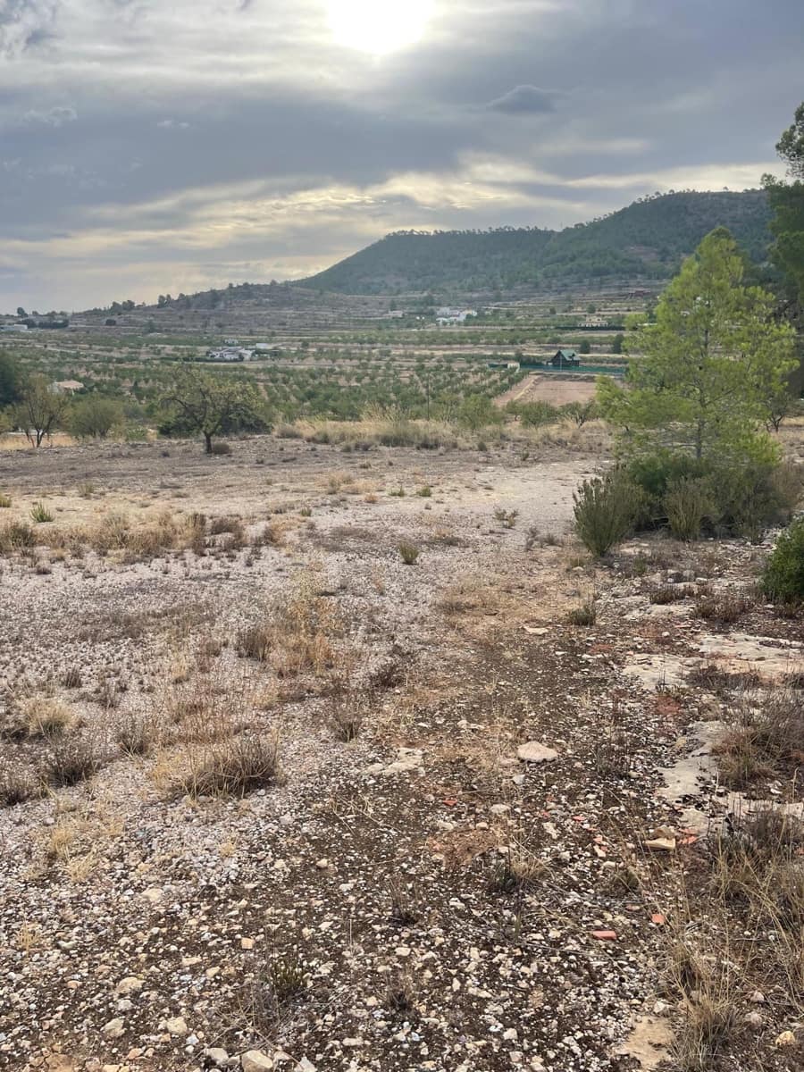 Grunde uden byggetilladelser til salg i Pinoso - € 145.000 (Ref: 10133737)