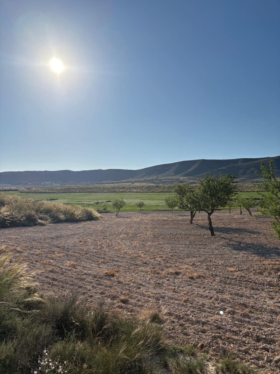 6 soveværelse Finca/Landehus til salg i Jumilla med swimmingpool garage - € 95.000 (Ref: 10133741)