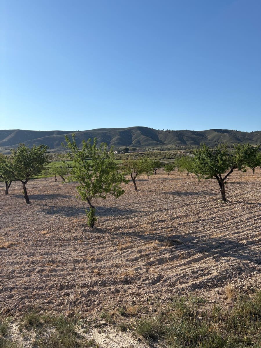 6 soveværelse Finca/Landehus til salg i Jumilla med swimmingpool garage - € 95.000 (Ref: 10133741)