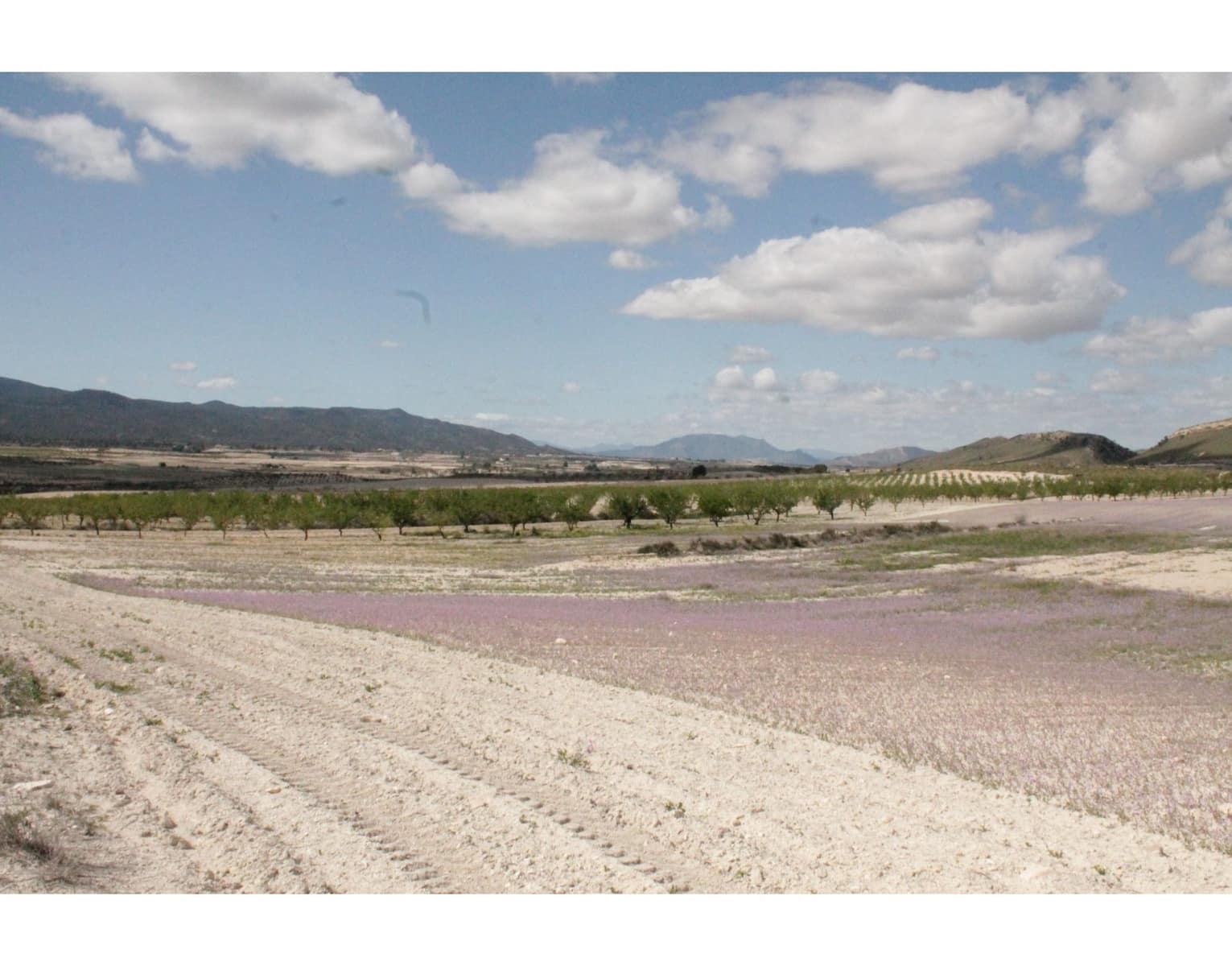 6 bedroom Finca/Country House for sale in Jumilla with pool garage - € 95,000 (Ref: 10133741)