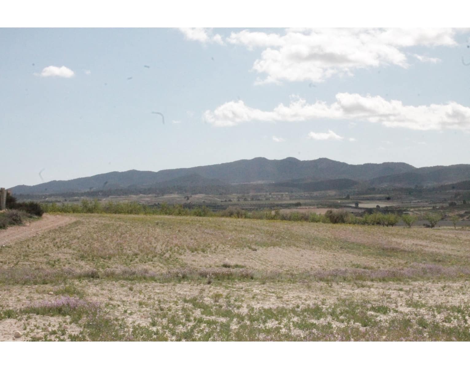 6 bedroom Finca/Country House for sale in Jumilla with pool garage - € 95,000 (Ref: 10133741)