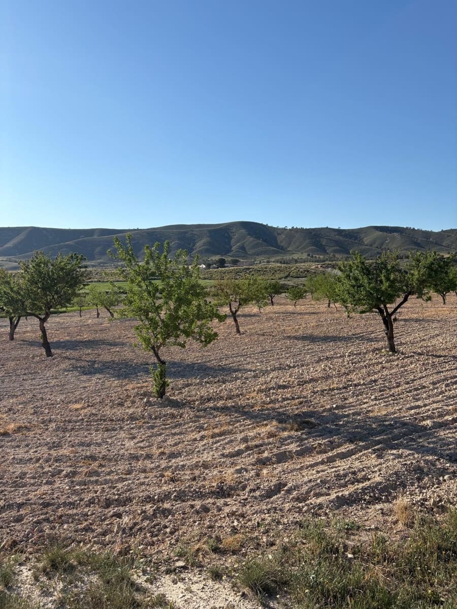 6 bedroom Finca/Country House for sale in Jumilla with pool garage - € 95,000 (Ref: 10133741)