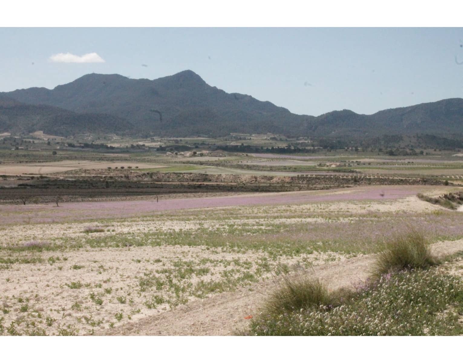 6 bedroom Finca/Country House for sale in Jumilla with pool garage - € 95,000 (Ref: 10133741)