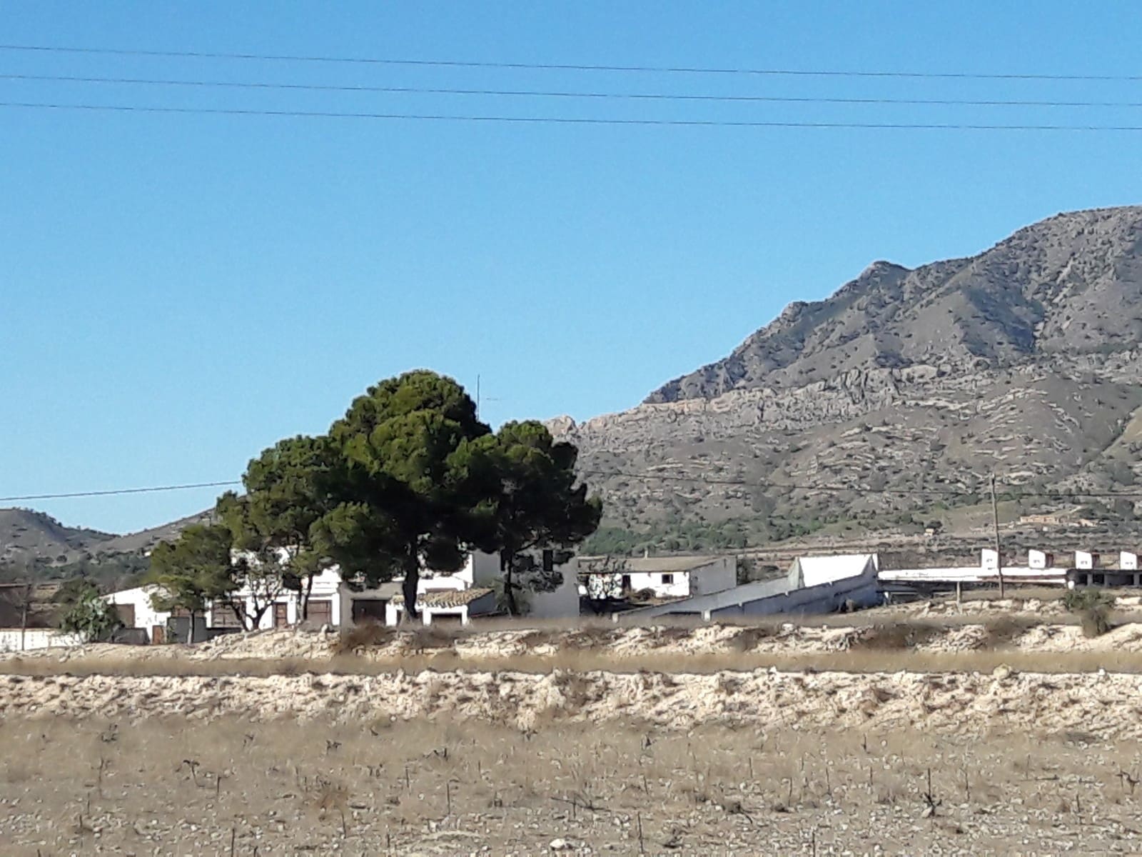 6 soveværelse Finca/Landehus til salg i Torre del Rico med garage - € 236.995 (Ref: 10133805)