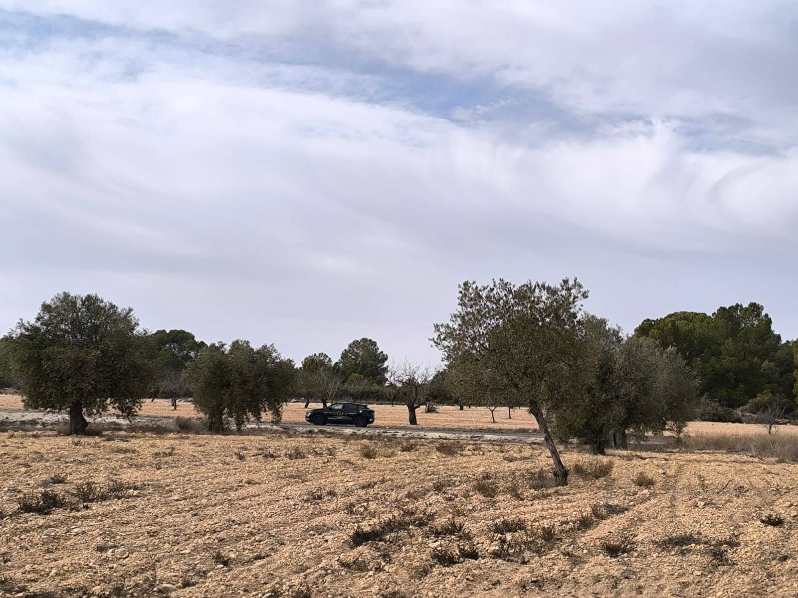 3 bedroom Villa for sale in Monovar / Monover with pool - € 390,000 (Ref: 10133807)
