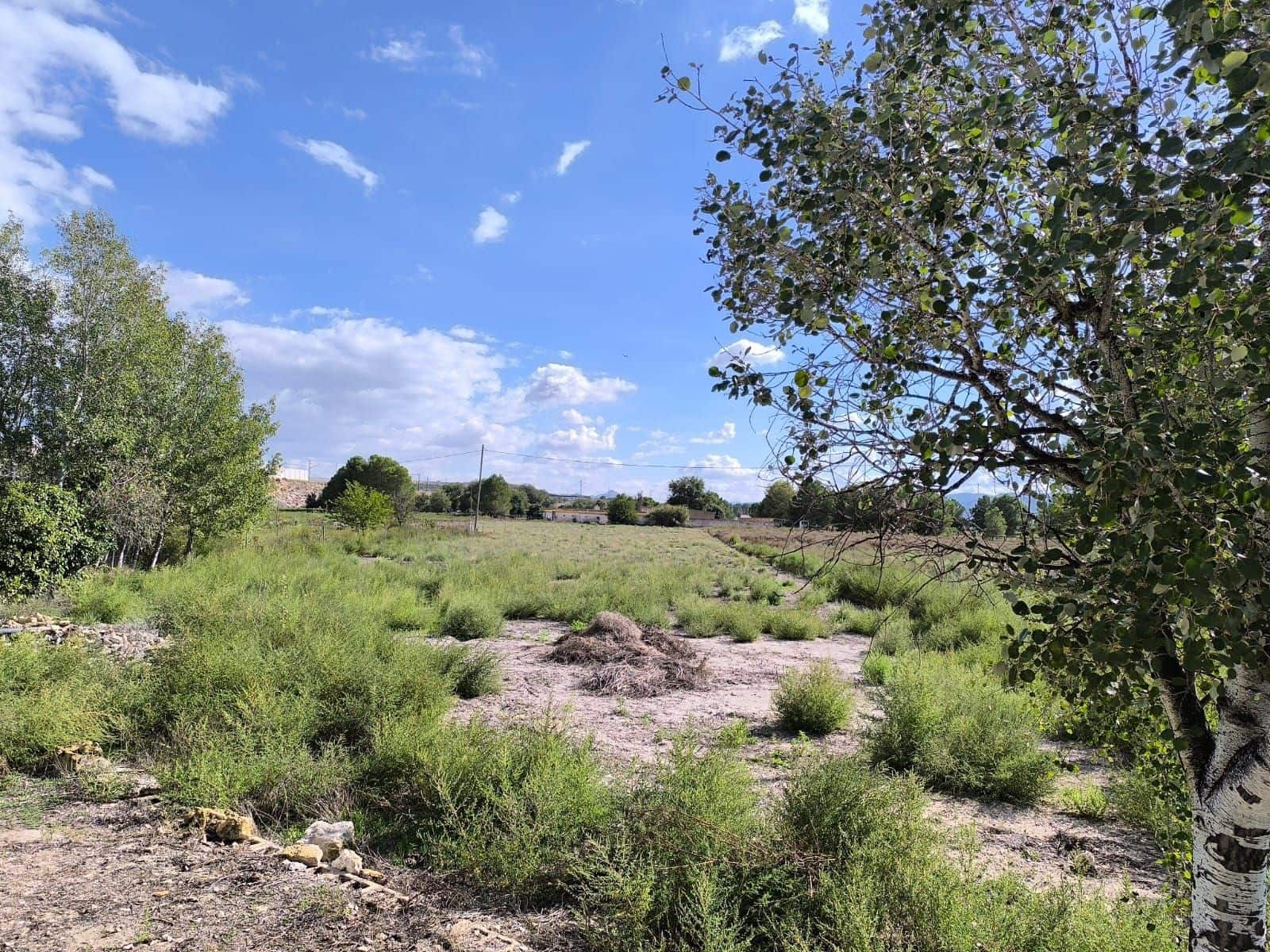 7 soverom Finca/Herregård til salgs i Villena med svømmebasseng garasje - € 290 000 (Ref: 10158858)