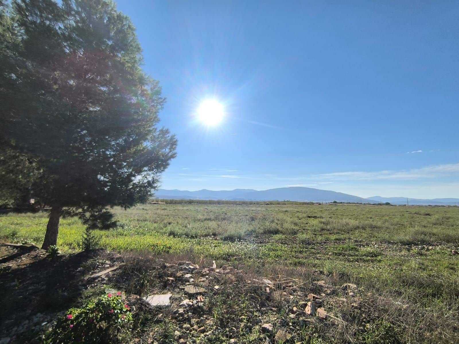 4 soveværelse Finca/Landehus til salg i Pinoso - € 149.995 (Ref: 10160231)