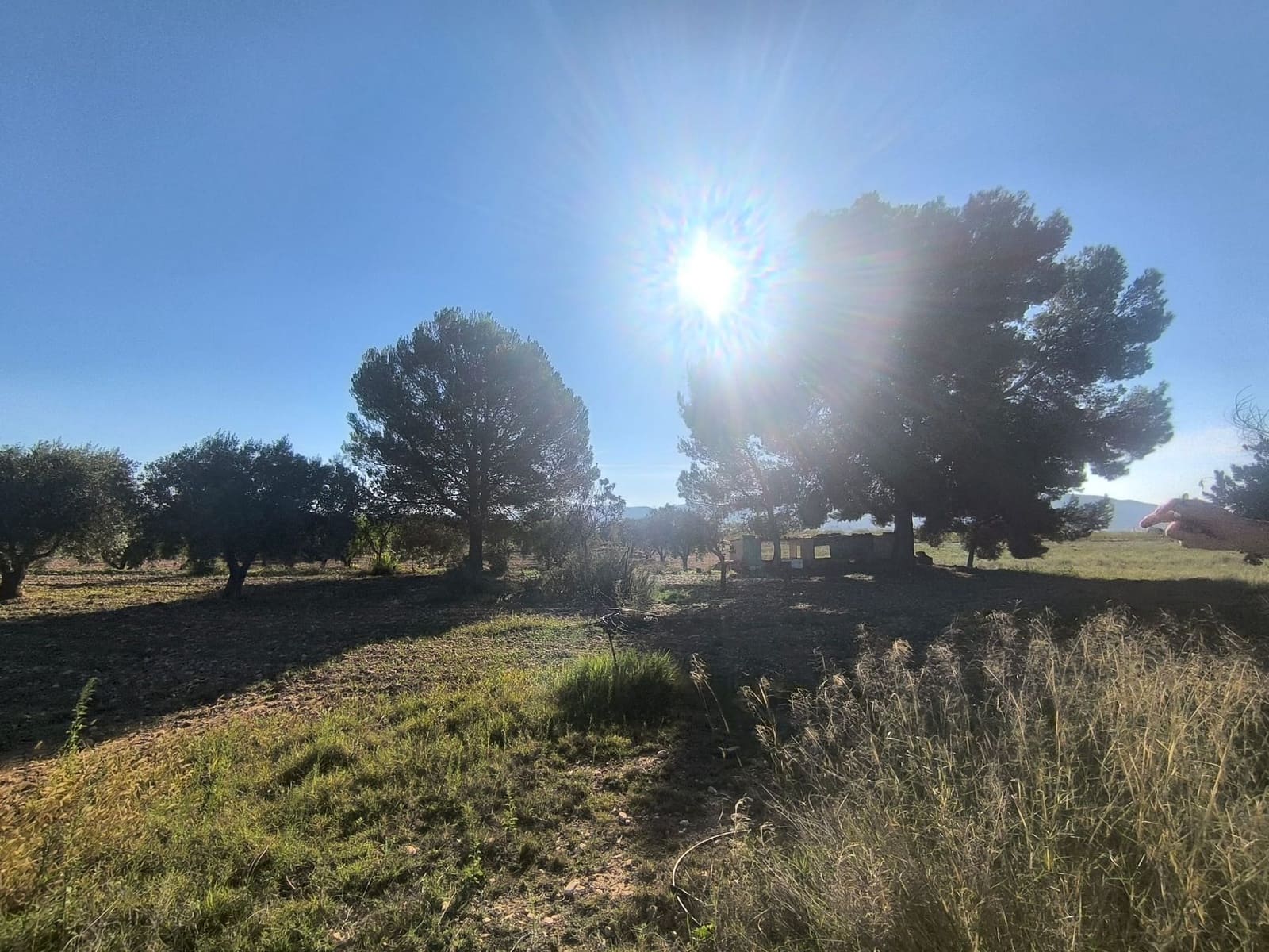 4 soveværelse Finca/Landehus til salg i Pinoso - € 149.995 (Ref: 10160231)