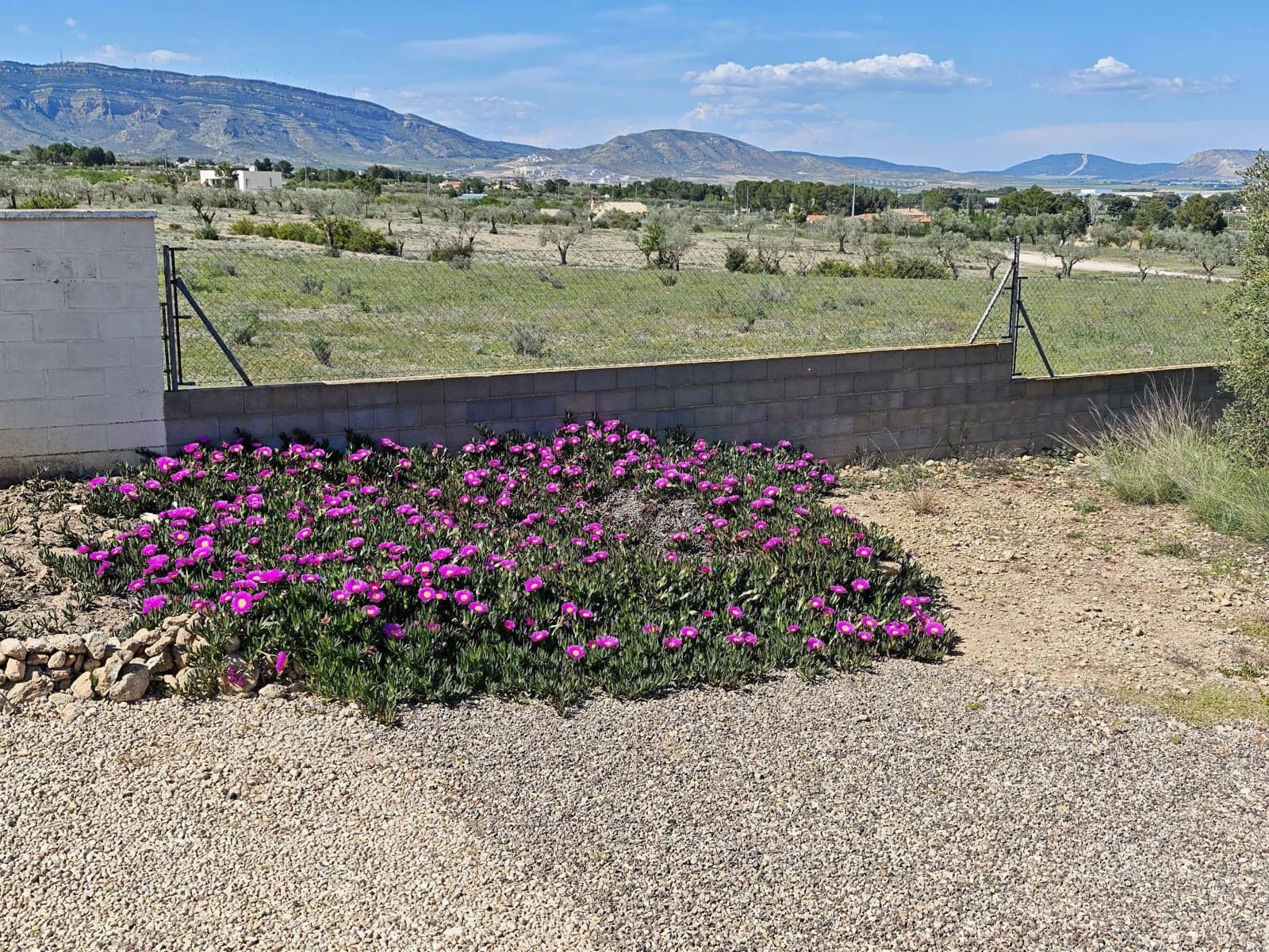 4 soveværelse Finca/Landehus til salg i Caudete med swimmingpool garage - € 375.000 (Ref: 10162214)