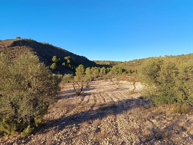 Grunde uden byggetilladelser til salg i Yecla - € 25.000 (Ref: 10162495)