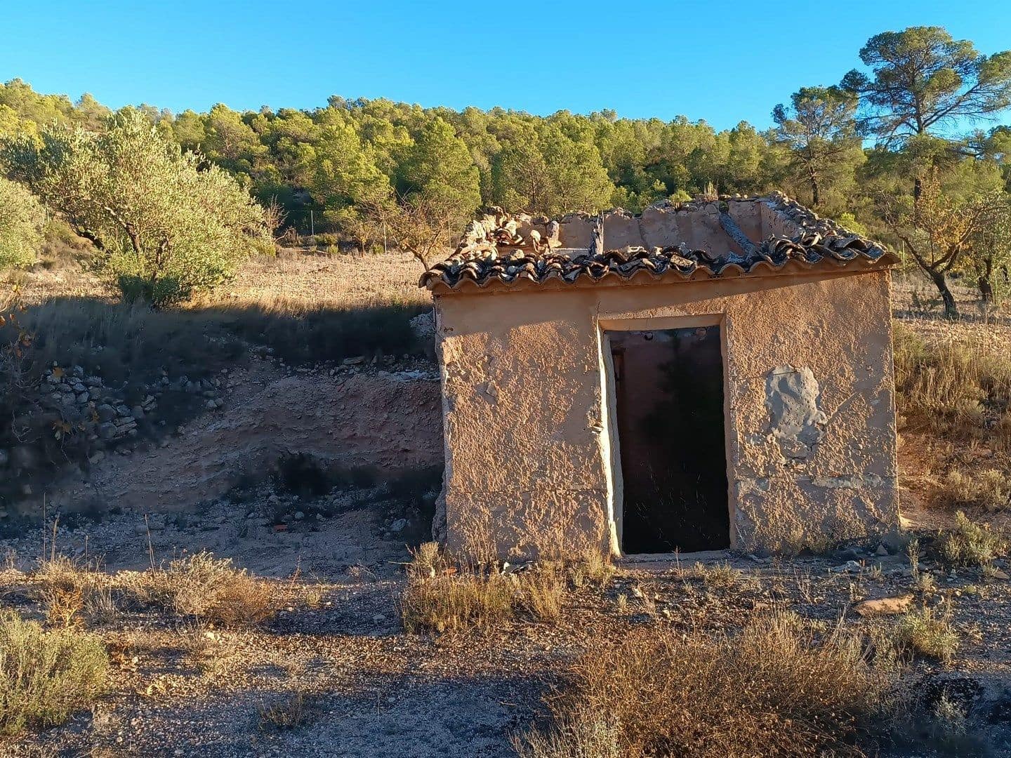 Grunde uden byggetilladelser til salg i Yecla - € 25.000 (Ref: 10162495)