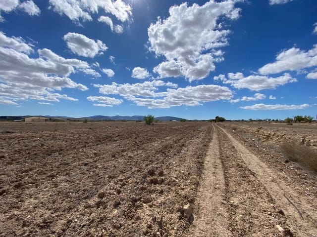 Grond te koop in Pinoso - € 43.000 (Ref: 10167424)