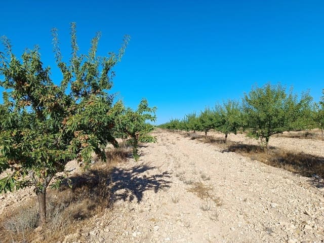 Undeveloped Land for sale in Yecla - € 375,000 (Ref: 10179361)