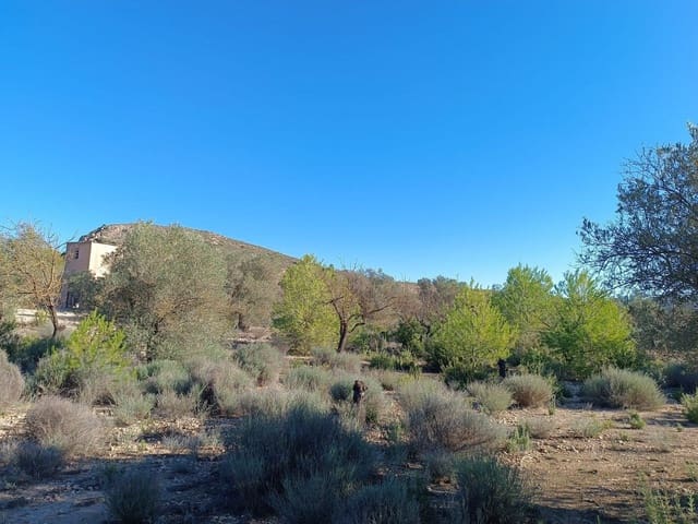 2 quarto Quinta/Casa Rural para venda em Yecla com piscina garagem - 59 000 € (Ref: 10180896)