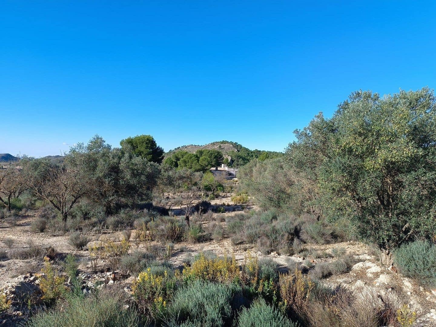 2 quarto Quinta/Casa Rural para venda em Yecla com piscina garagem - 59 000 € (Ref: 10180896)