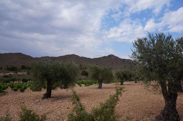 Terre non Aménagée à vendre à Yecla - 29 995 € (Ref: 3046991)