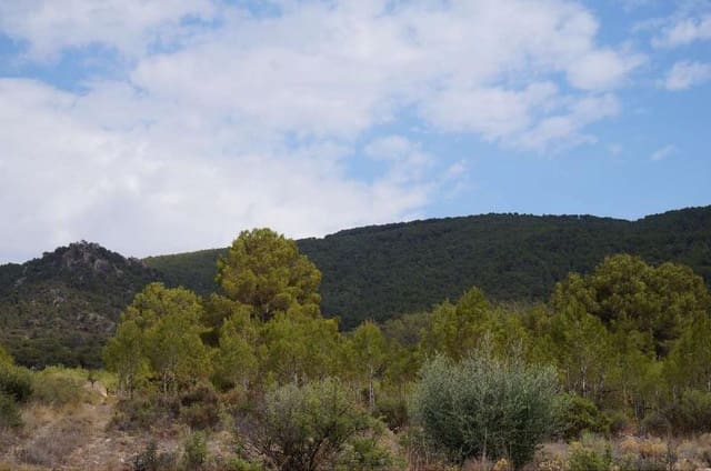 Terre non Aménagée à vendre à Yecla - 29 995 € (Ref: 3046991)