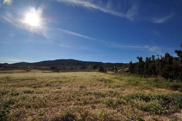 Terreno Non Edificato in vendita in Chinorlet / Xinorlet, Monóvar / Monóver - 46.000 € (Rif: 3047152)