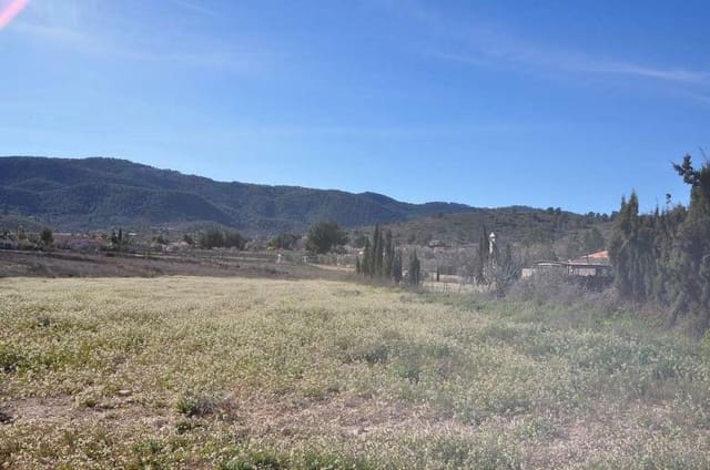 Terreno Non Edificato in vendita in Chinorlet / Xinorlet, Monóvar / Monóver - 46.000 € (Rif: 3047152)