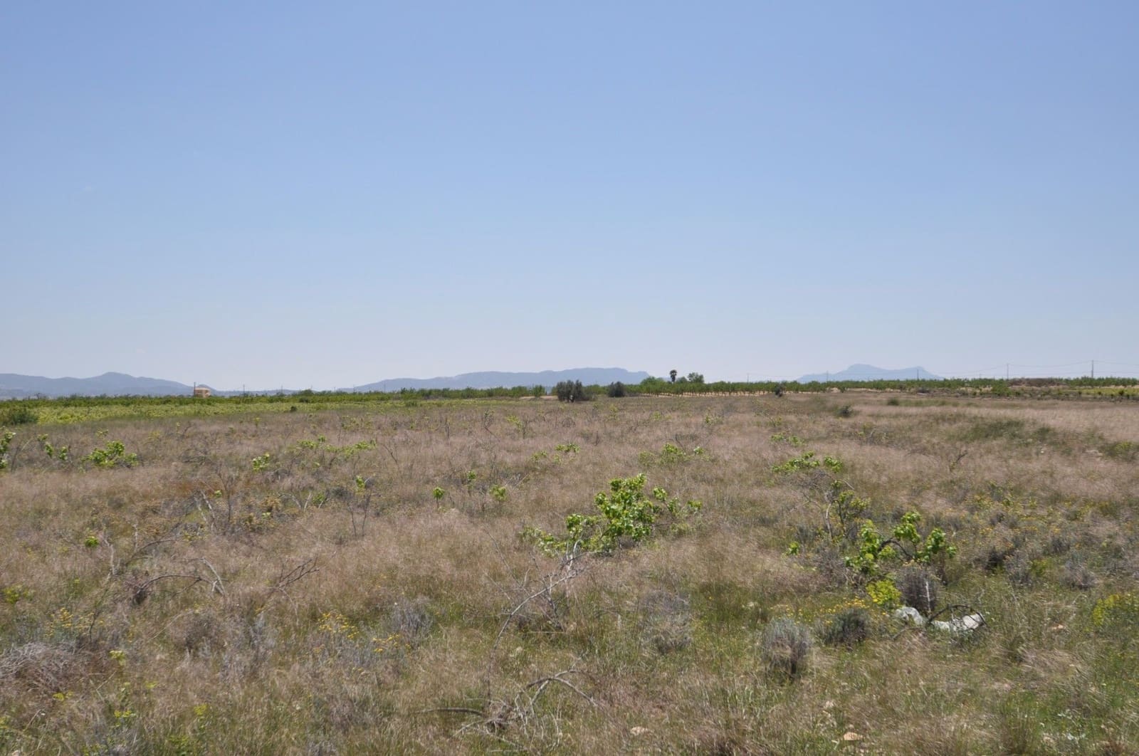Undeveloped Land for sale in Pinoso - € 33,995 (Ref: 3047301)