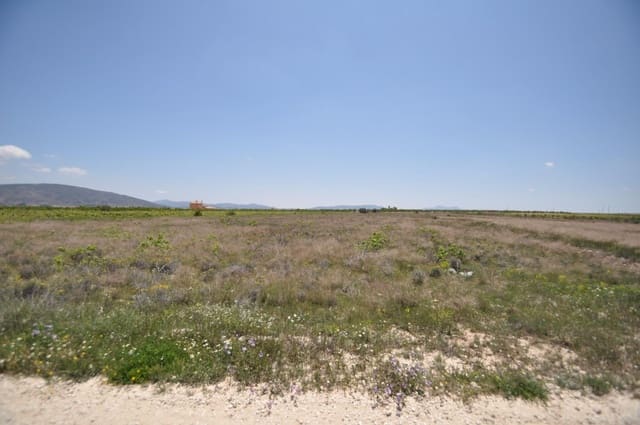 Mark till salu i Pinoso - 33 995 € (Ref: 3047301)