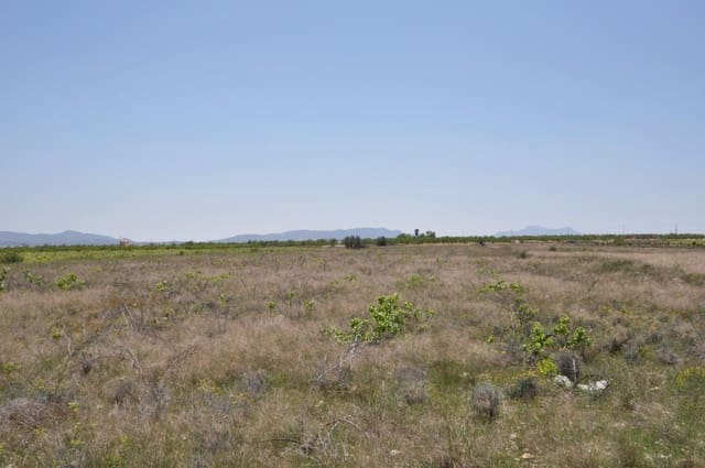 Mark till salu i Pinoso - 33 995 € (Ref: 3047301)