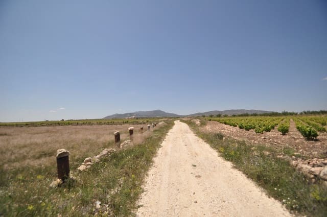 Mark till salu i Pinoso - 33 995 € (Ref: 3047301)