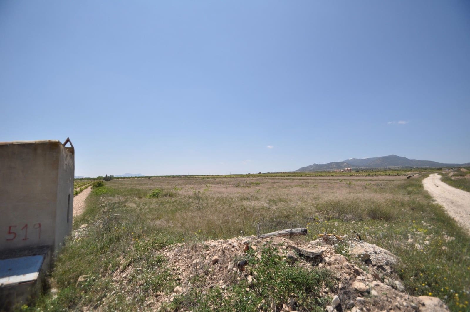 Undeveloped Land for sale in Pinoso - € 33,995 (Ref: 3047301)