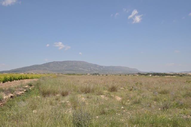 Mark till salu i Pinoso - 33 995 € (Ref: 3047301)