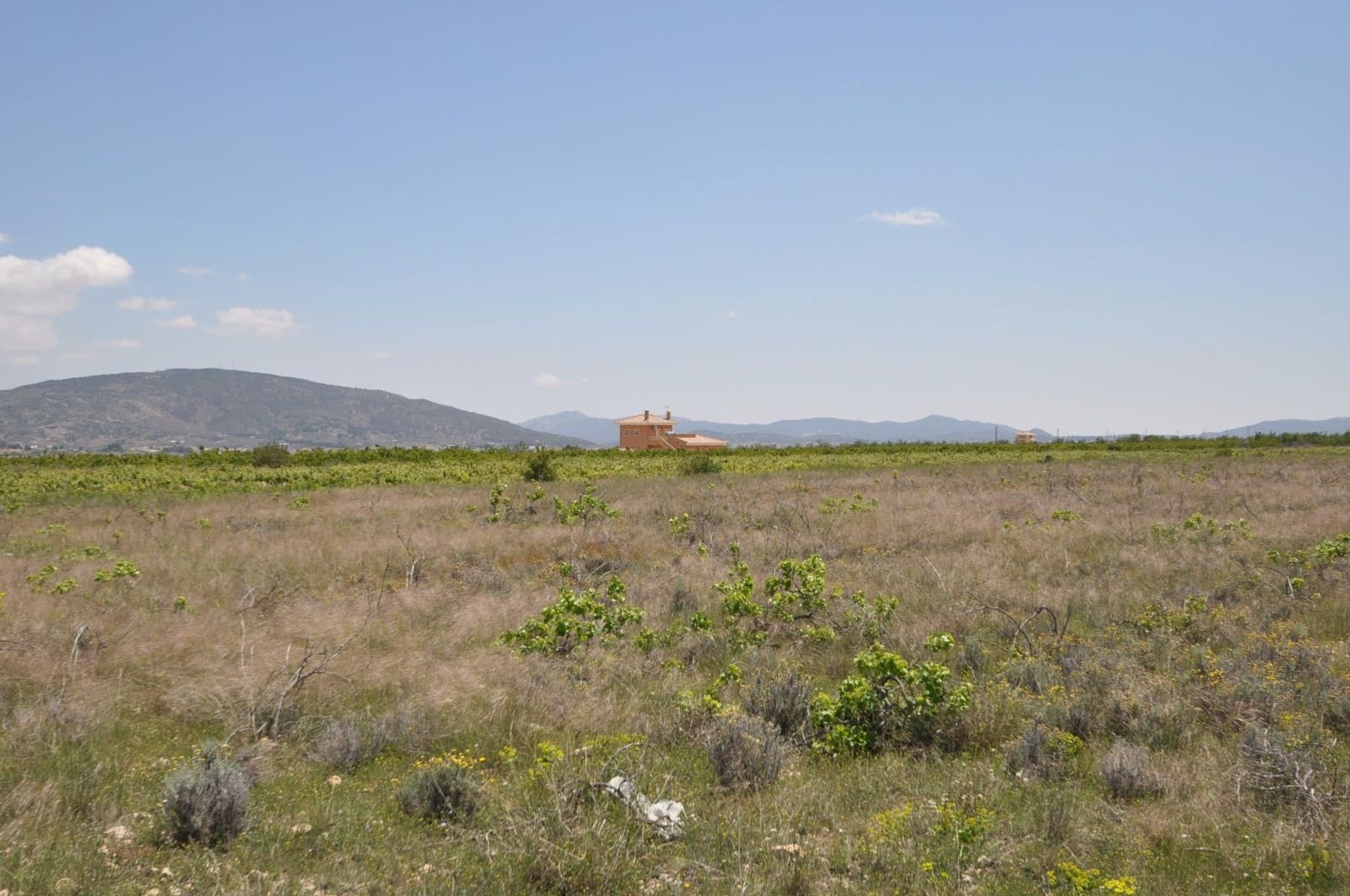 Undeveloped Land for sale in Pinoso - € 33,995 (Ref: 3047301)