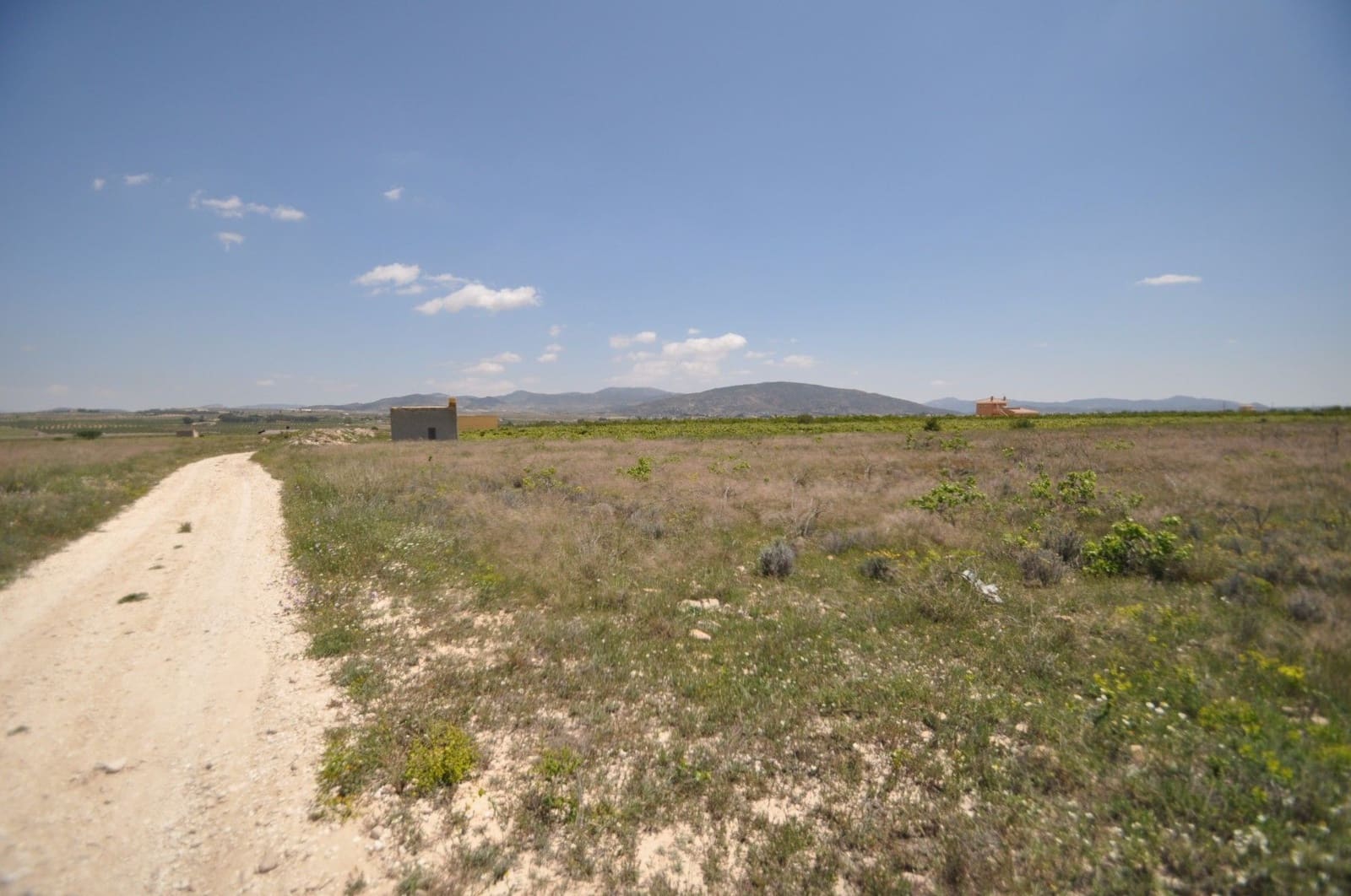 Undeveloped Land for sale in Pinoso - € 33,995 (Ref: 3047301)