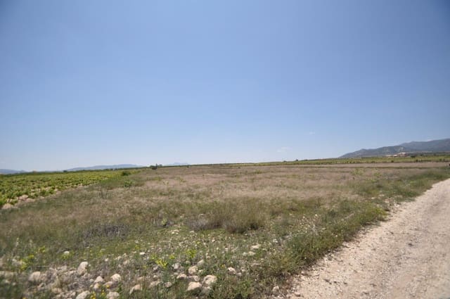 Mark till salu i Pinoso - 33 995 € (Ref: 3047301)