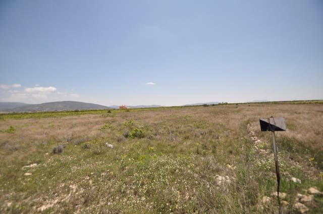 Mark till salu i Pinoso - 33 995 € (Ref: 3047301)