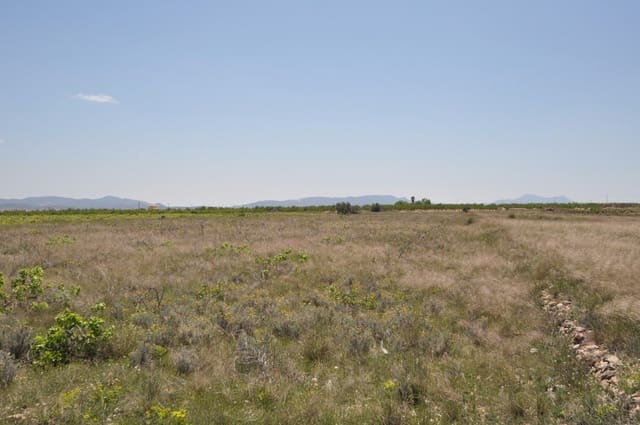 Mark till salu i Pinoso - 33 995 € (Ref: 3047301)