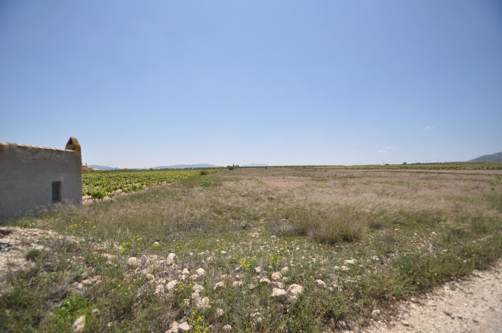 Undeveloped Land for sale in Pinoso - € 33,995 (Ref: 3047301)