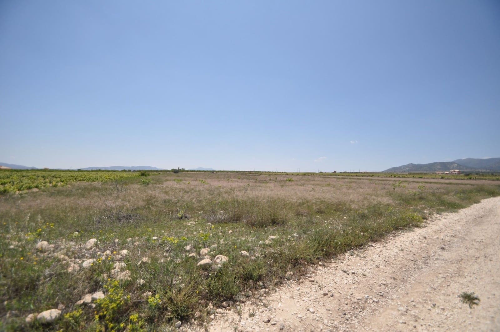 Undeveloped Land for sale in Pinoso - € 33,995 (Ref: 3047301)