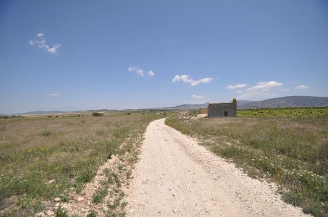 Undeveloped Land for sale in Pinoso - € 33,995 (Ref: 3047301)