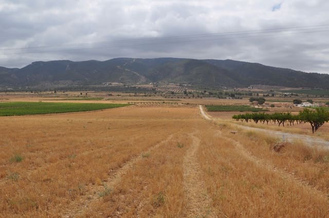 Terre non Aménagée à vendre à Yecla - 35 000 € (Ref: 3047329)