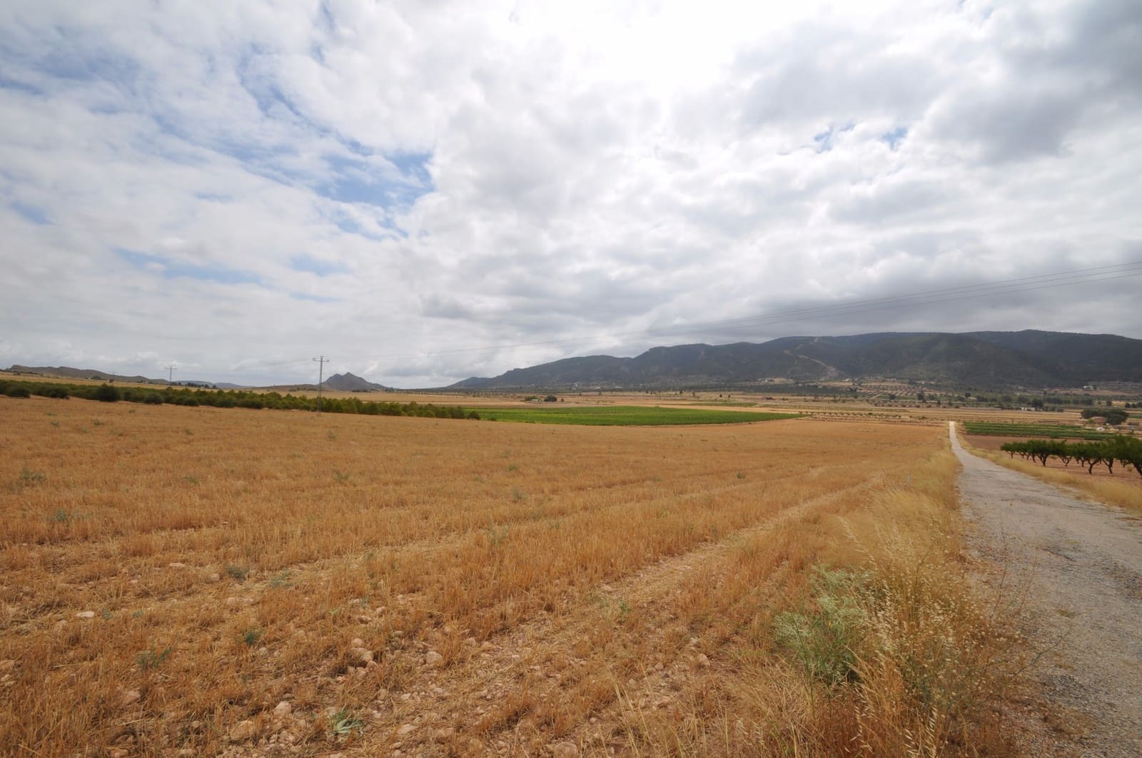 Terreno/Finca Rústica en Yecla en venta - 35.000 € (Ref: 3047329)