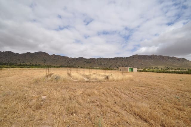 Terre non Aménagée à vendre à Yecla - 35 000 € (Ref: 3047329)