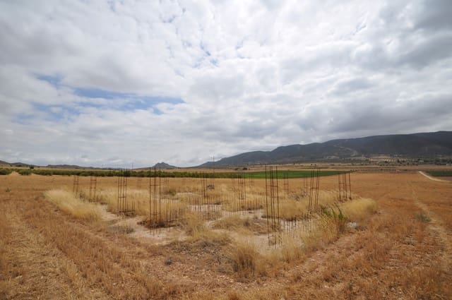 Terre non Aménagée à vendre à Yecla - 35 000 € (Ref: 3047329)