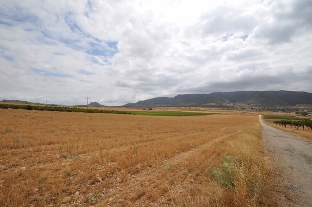Terre non Aménagée à vendre à Yecla - 35 000 € (Ref: 3047329)