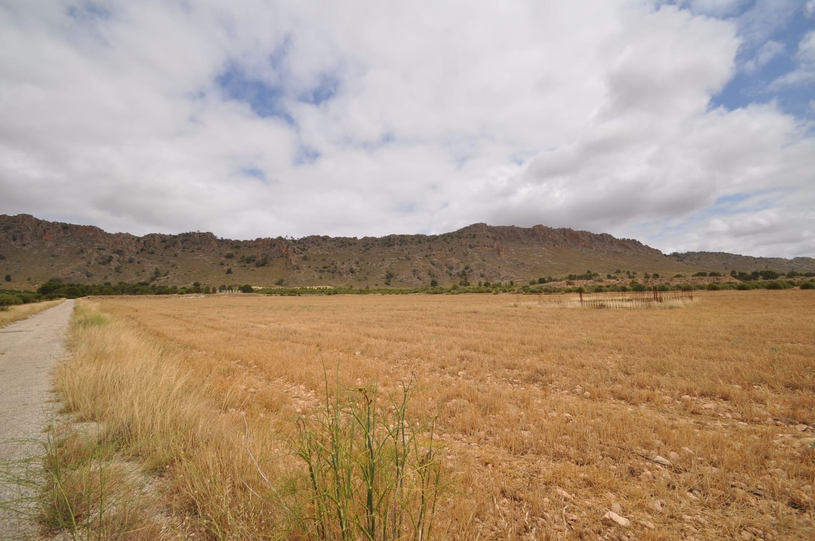 Terreno/Finca Rústica en Yecla en venta - 35.000 € (Ref: 3047329)